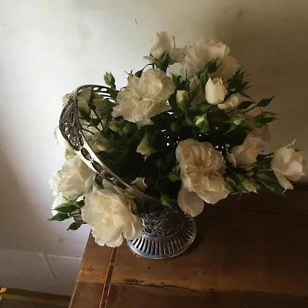 La Barchessa Oda ve Kahvaltı